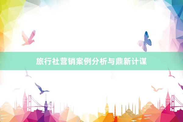 旅行社营销案例分析与鼎新计谋